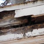 damaged facia of home