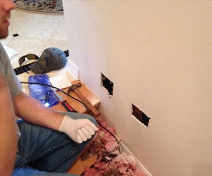 wall-cut-out