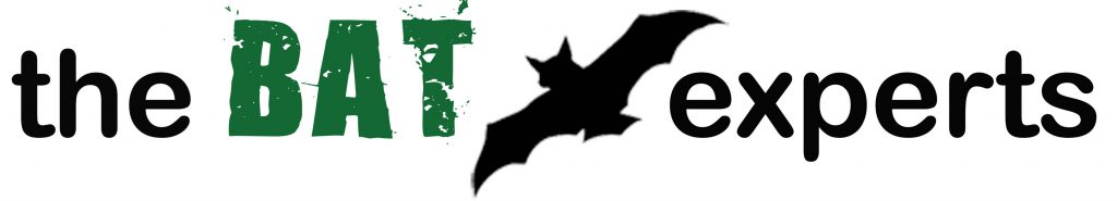 Bat Removal Experts