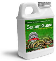Serpent Guard