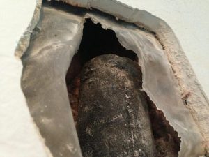 rodent-removal-bradenton