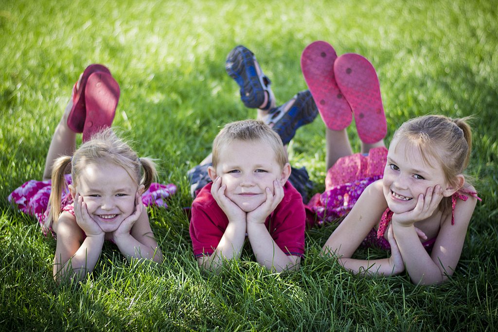insect-control-lakewood-ranch