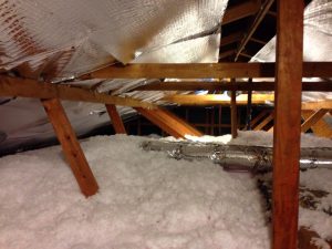 opossum-trapping-damage